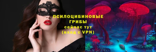 СК Абаза