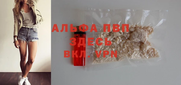 apvp Алзамай