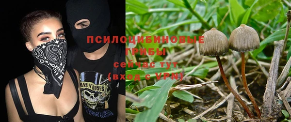 a pvp Алексин