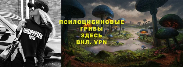 СК Абаза